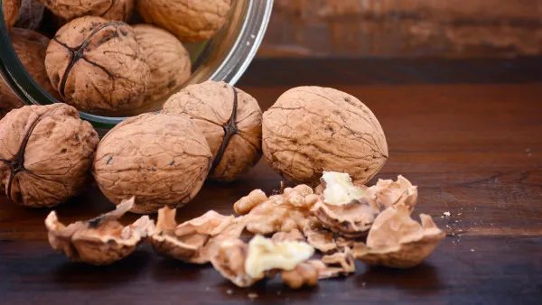 高考学生吃什么补脑提高记忆力缓解疲劳