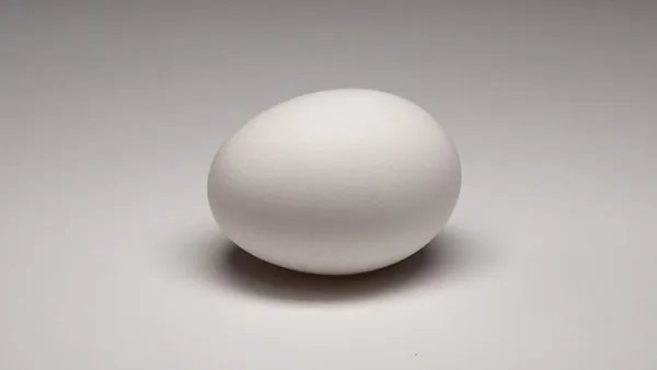 人流后不能吃什么