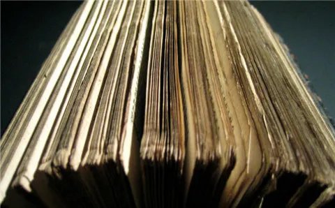 逃避追缴欠税罪的主体有哪些