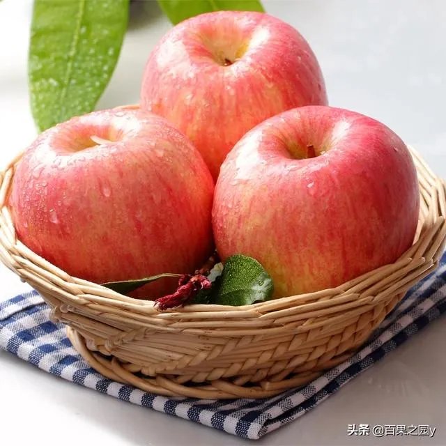 进入9月份了中晚熟水果陆续进入成熟采摘期，可是今年的水果价格怎么这么低？