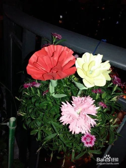 剪纸怎样剪最简单又漂亮