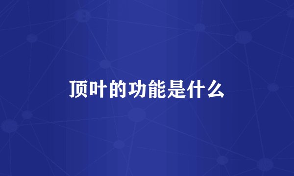 顶叶的功能是什么
