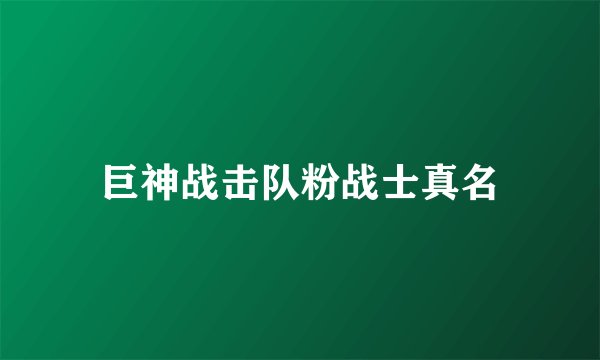 巨神战击队粉战士真名