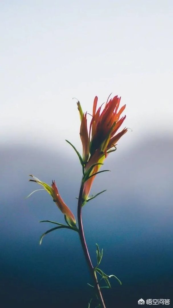 有什么好看的、景色秀丽的壁纸？