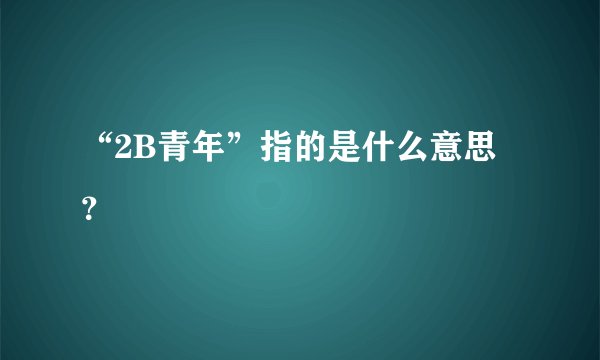 “2B青年”指的是什么意思？