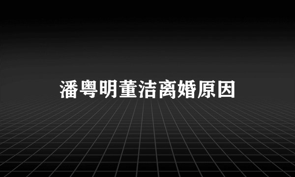 潘粤明董洁离婚原因
