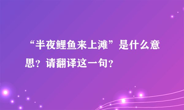 “半夜鲤鱼来上滩”是什么意思？请翻译这一句？