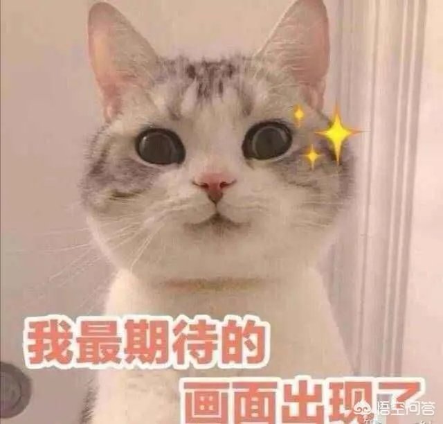 闺蜜团是什么，感觉很火？