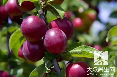 杨梅怎么吃干净