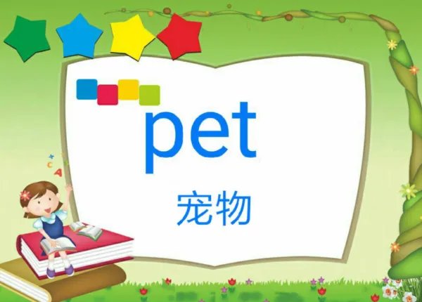 my pet网络用语是什么意思