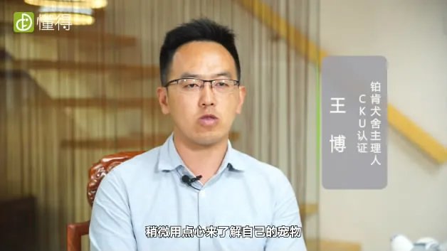 狗的品种有哪些