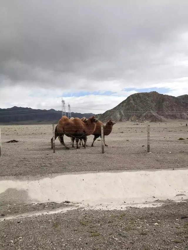 青海有哪些经典的景点？