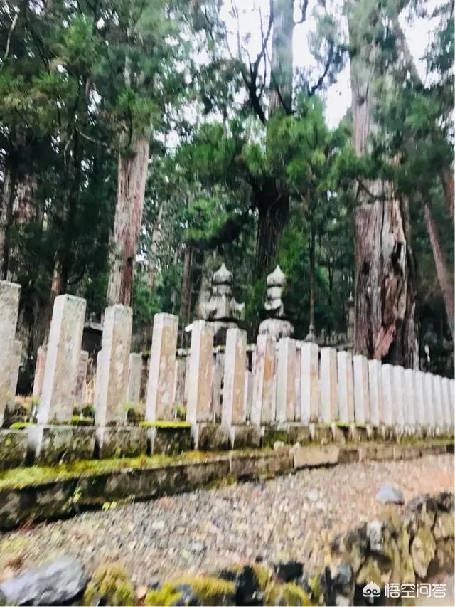 请问最近有没有去过高野山的朋友?