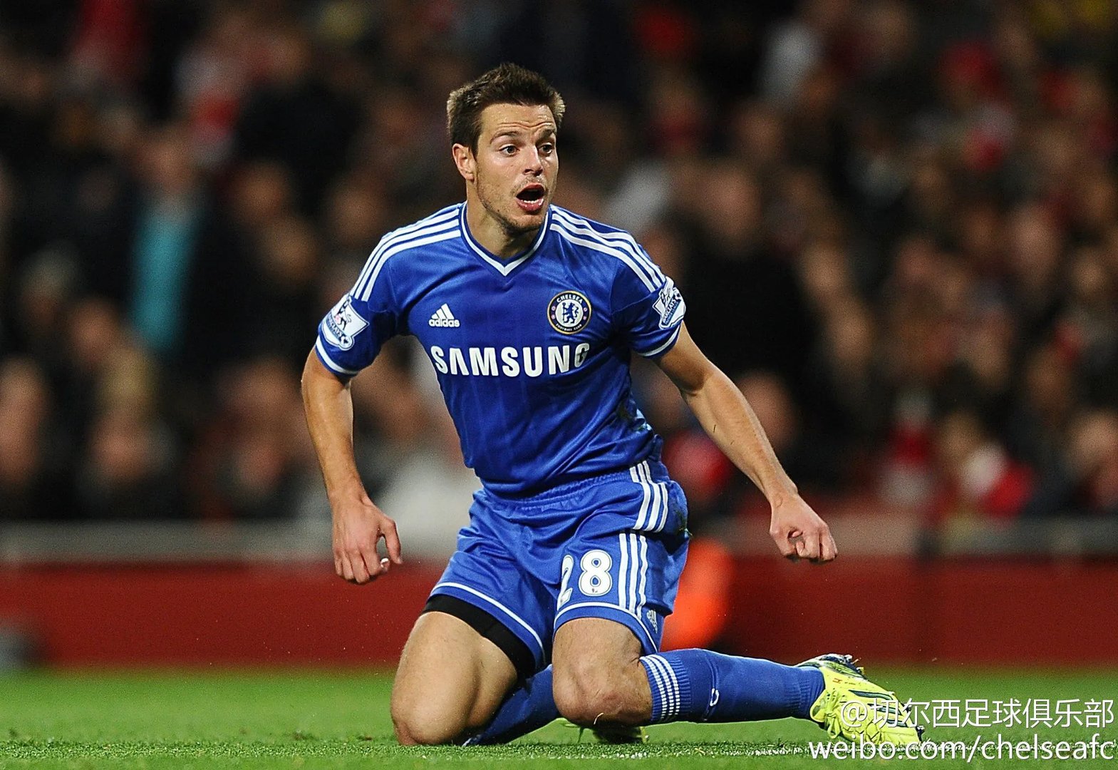 阿兹皮利奎塔的介绍