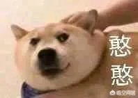 JOJO的奇妙冒险中,虹村亿泰的替身“轰炸空间”还有多大的潜能(能力使用方法)?