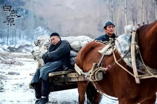 经典电视剧排行榜前十名,一生必看的经典(近代史排第一)