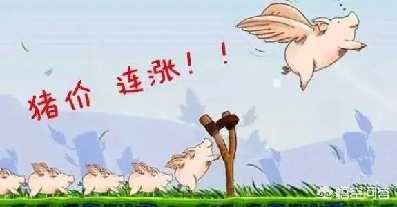 2018年下半年生猪价格走势