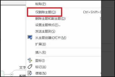 Mindjet MindManager 怎么使用