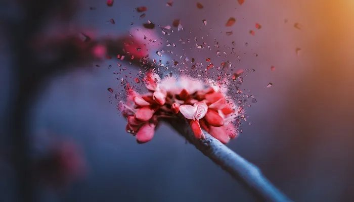 温柔干净无关爱情的句子 有哪些干净温柔的语句