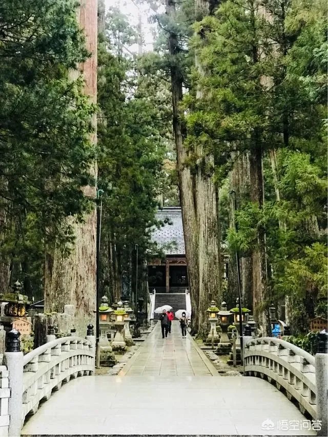 请问最近有没有去过高野山的朋友?