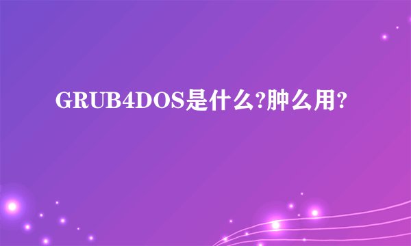 GRUB4DOS是什么?肿么用?