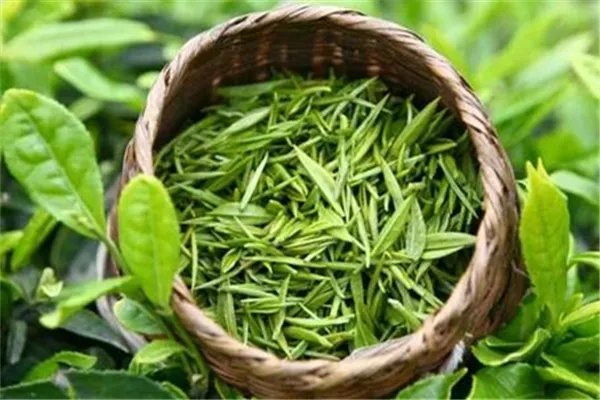 西湖龙井哪个牌子的正宗 西湖龙井茶多少钱一斤