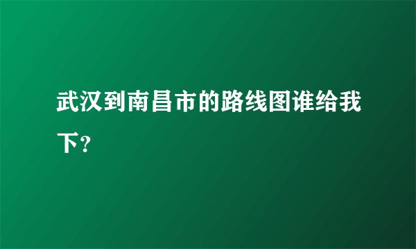 武汉到南昌市的路线图谁给我下？