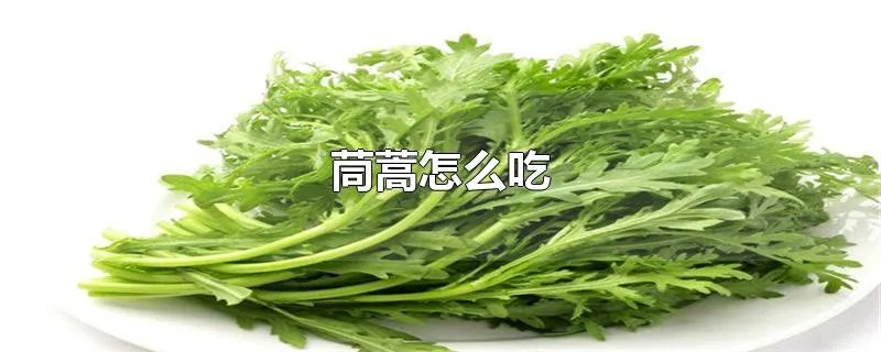 茼蒿怎么吃