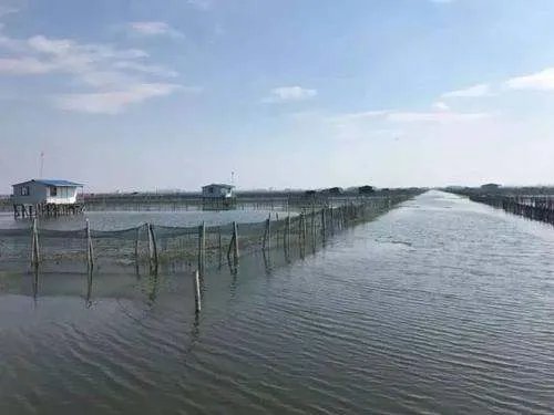 在农村养殖业里什么最净钱