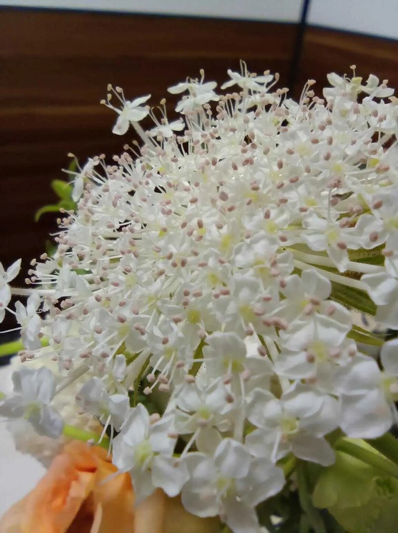 Redmi 10X手机怎么样（Redmi 10X评测）