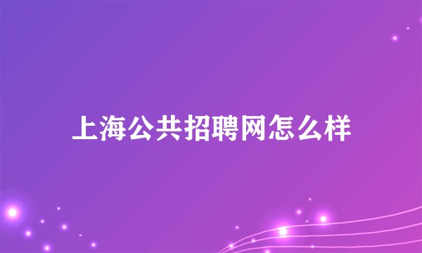 上海公共招聘网怎么样