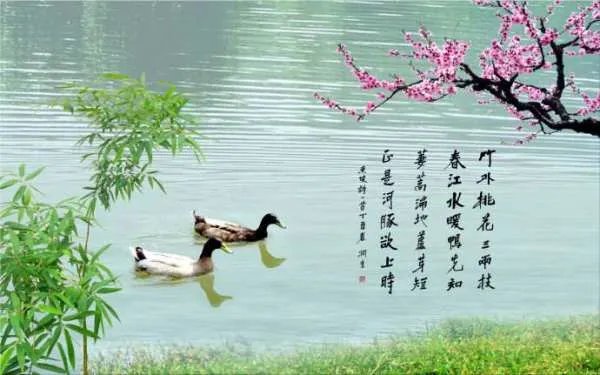 惠崇春江晚景二首其一翻译