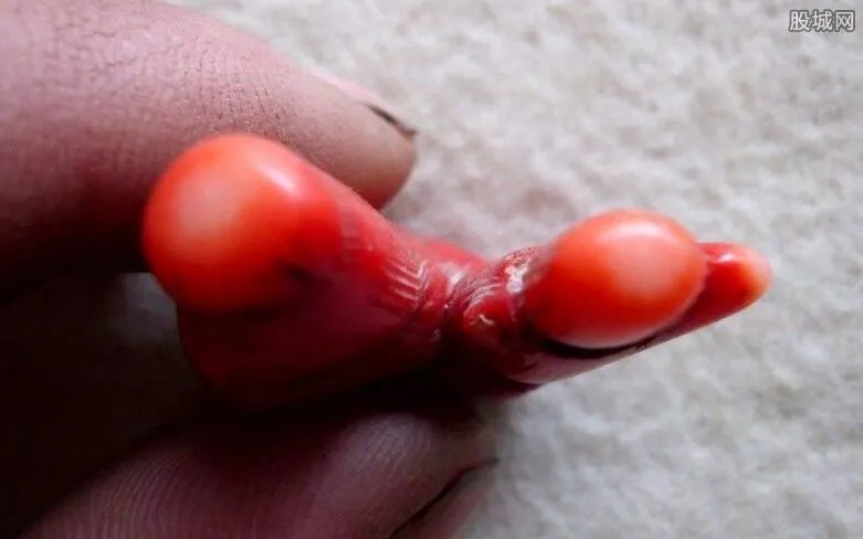 2017红珊瑚一克多少钱 红珊瑚最新价格及图片一览