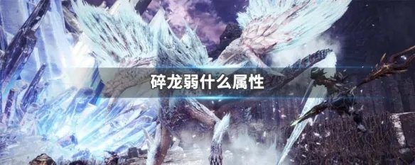 碎龙弱什么属性