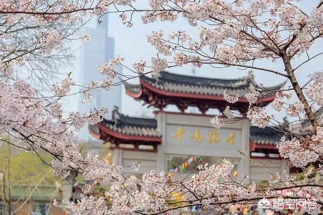 南京鸡鸣寺那里的明城墙收30元门票，你认为值么？