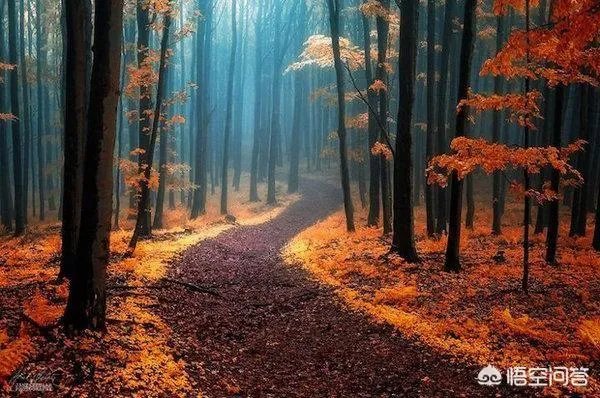 上联：听红尘恋歌的感伤，缱绻珍藏心事。下联你会吗？