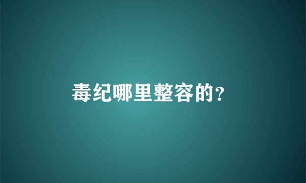 毒纪哪里整容的？