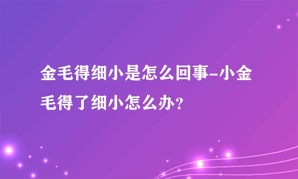 金毛得细小是怎么回事-小金毛得了细小怎么办？