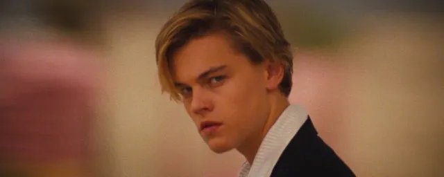 小李子是谁 小李子个人介绍