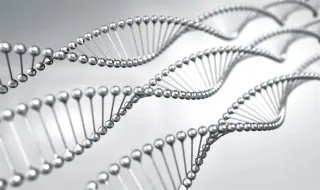 什么是生物工程 生物工程的解释