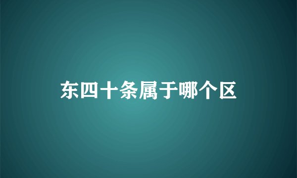 东四十条属于哪个区