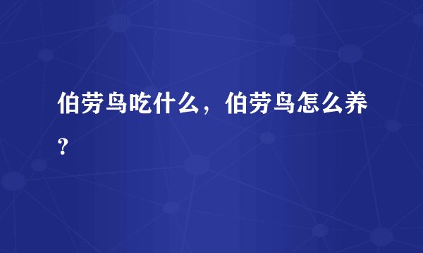 伯劳鸟吃什么，伯劳鸟怎么养？