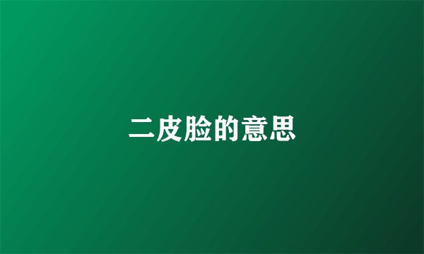 二皮脸的意思