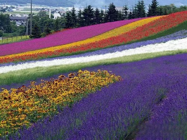 送你三月的风六月的雨九月的风景是什么歌，四季予你歌曲介绍