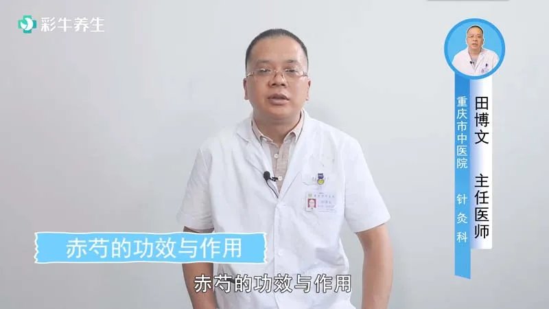  赤芍的功效与作用