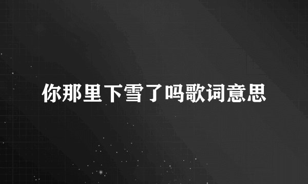 你那里下雪了吗歌词意思