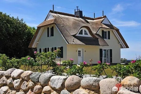 为什么现在这么多公寓出租?