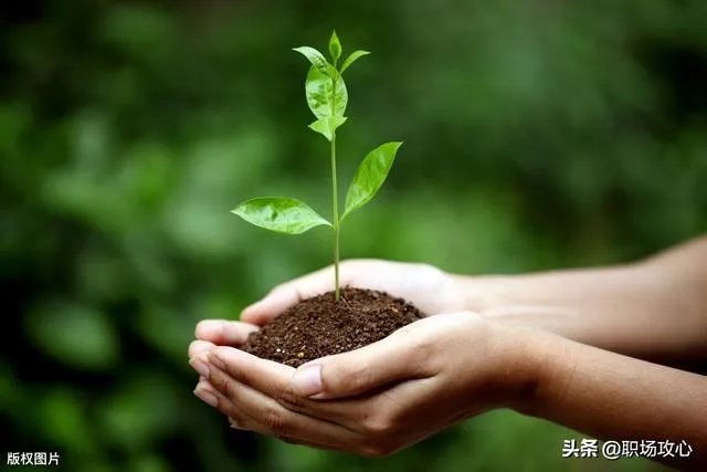 如何培养人才？