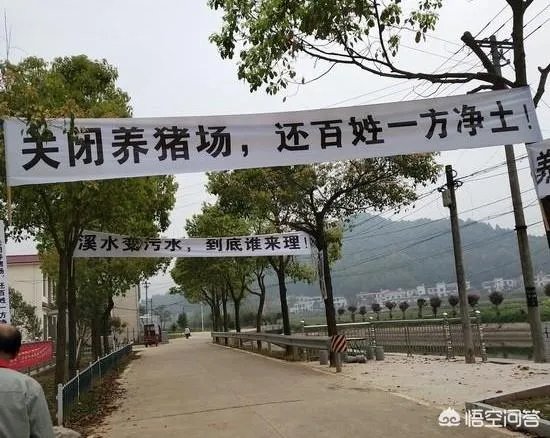 2018年下半年生猪价格走势