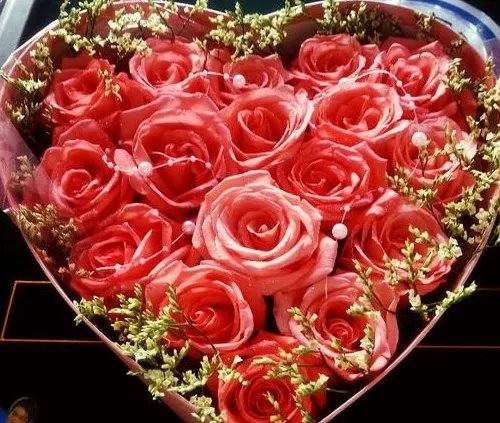 情人节怎么送花 情人节花的含义和代表